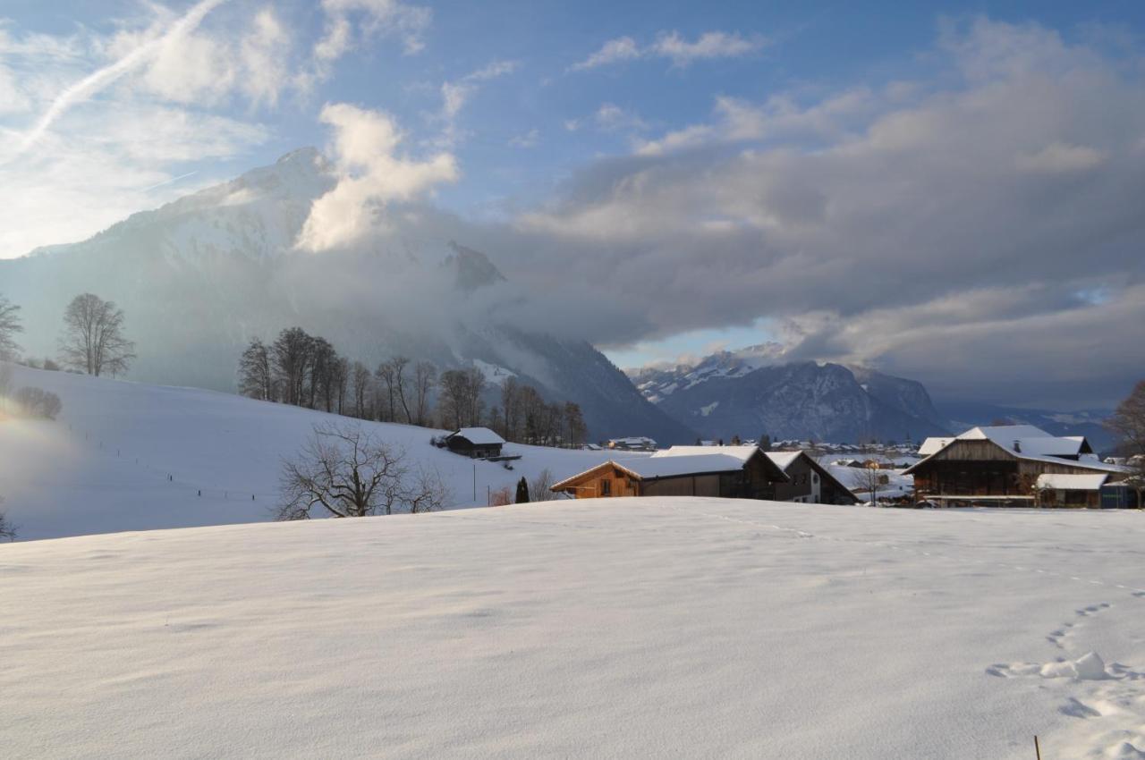 Aeschi Bei Spiez Ruhe Pur 아파트 외부 사진