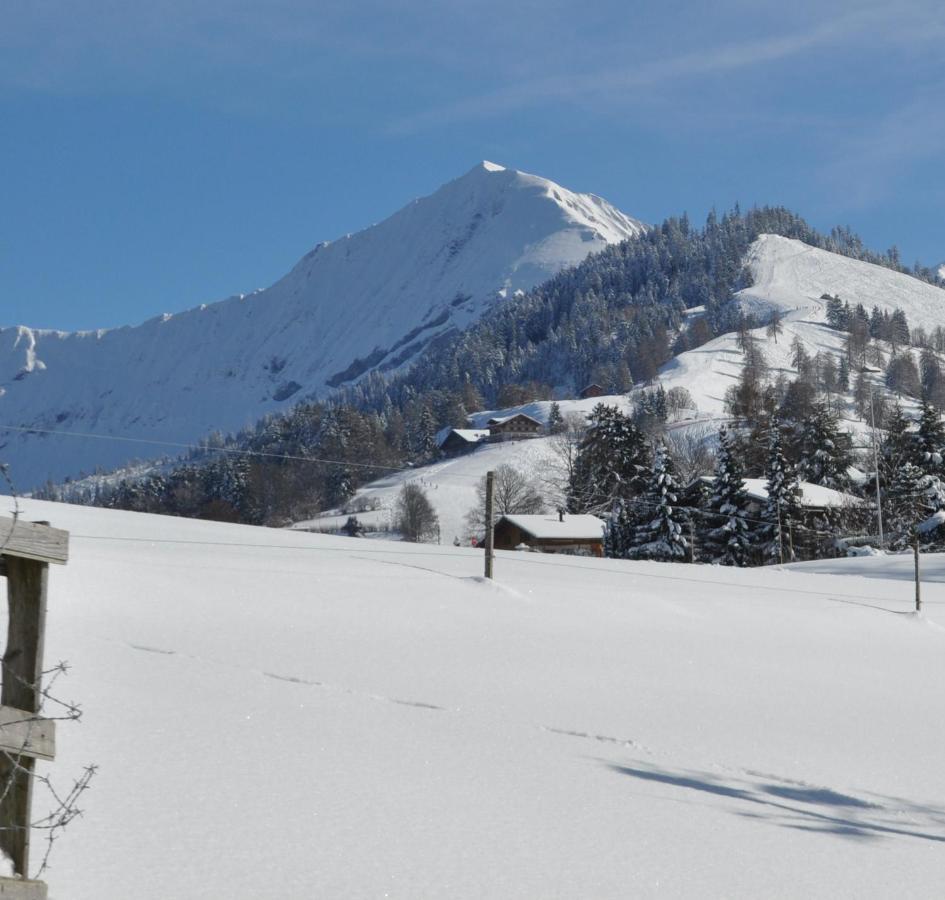 Aeschi Bei Spiez Ruhe Pur 아파트 외부 사진
