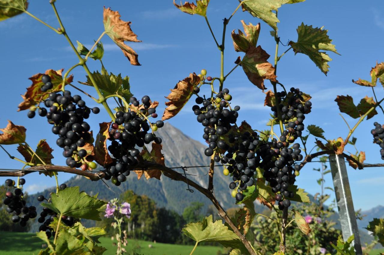 Aeschi Bei Spiez Ruhe Pur 아파트 외부 사진